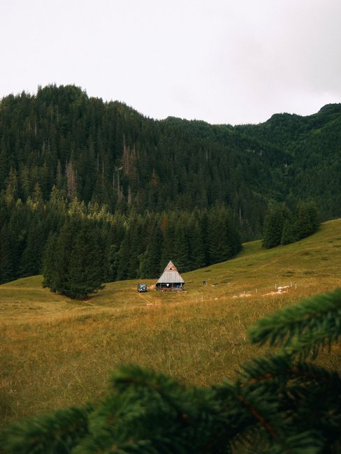 A picturesque mountain cabin nestled in a vibrant green valley surrounded by dense forest.
