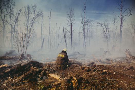 A firefighter contemplatively sits among the charred aftermath of a forest fire, enveloped in mist and smoke.