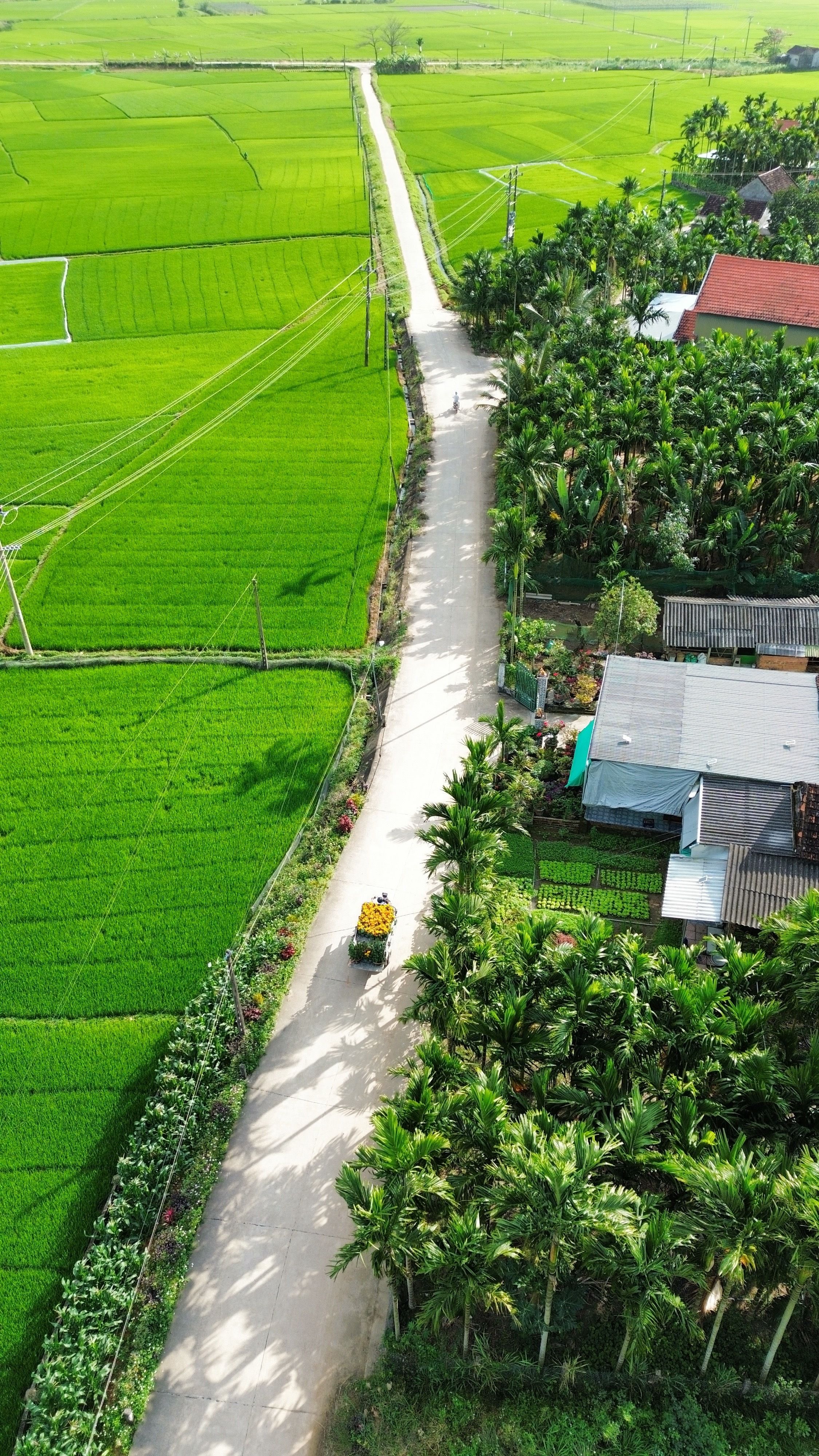 Làng Vân
