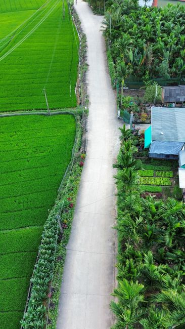 Drone shot capturing the vibrant green fields and rural road of Quang Ngai, Vietnam.