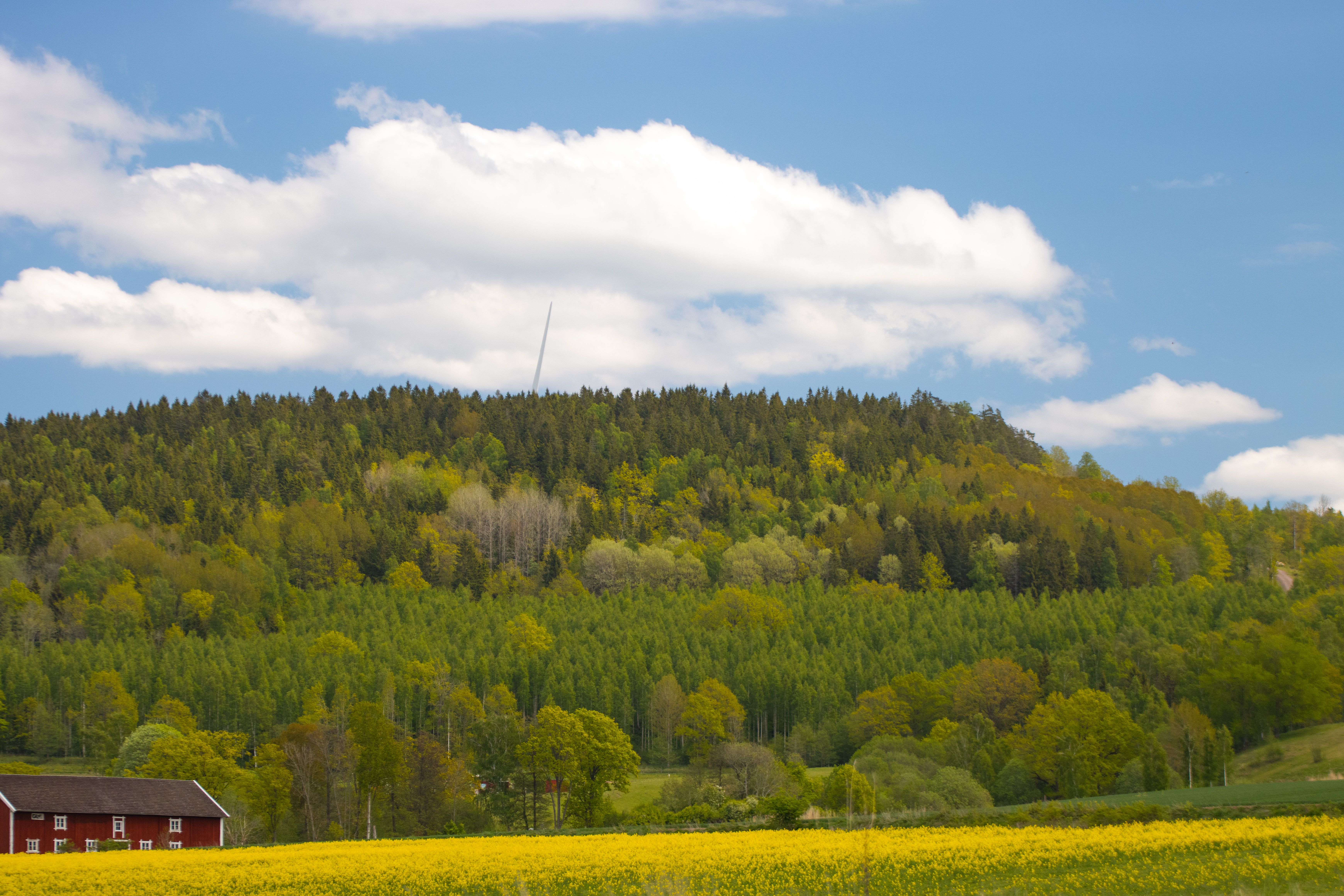 5 Day Summer Solstice Yoga Retreat in West Coast of Sweden 3