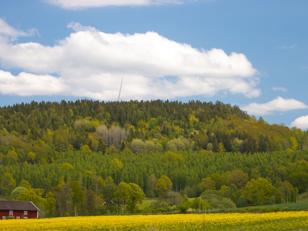 5 Day Summer Solstice Yoga Retreat in West Coast of Sweden 3