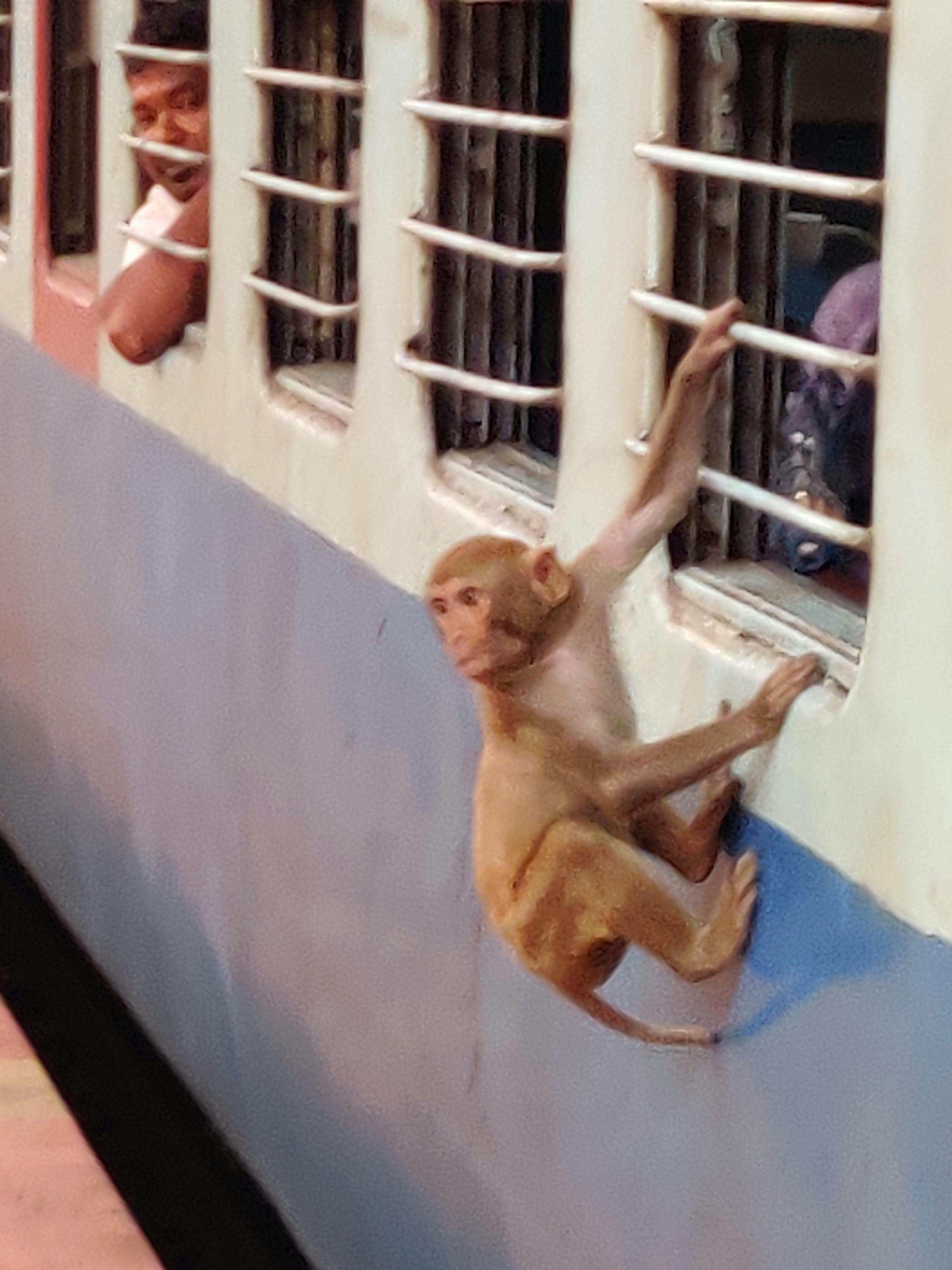 Florian Pötzschner - Diagnostic Specialist