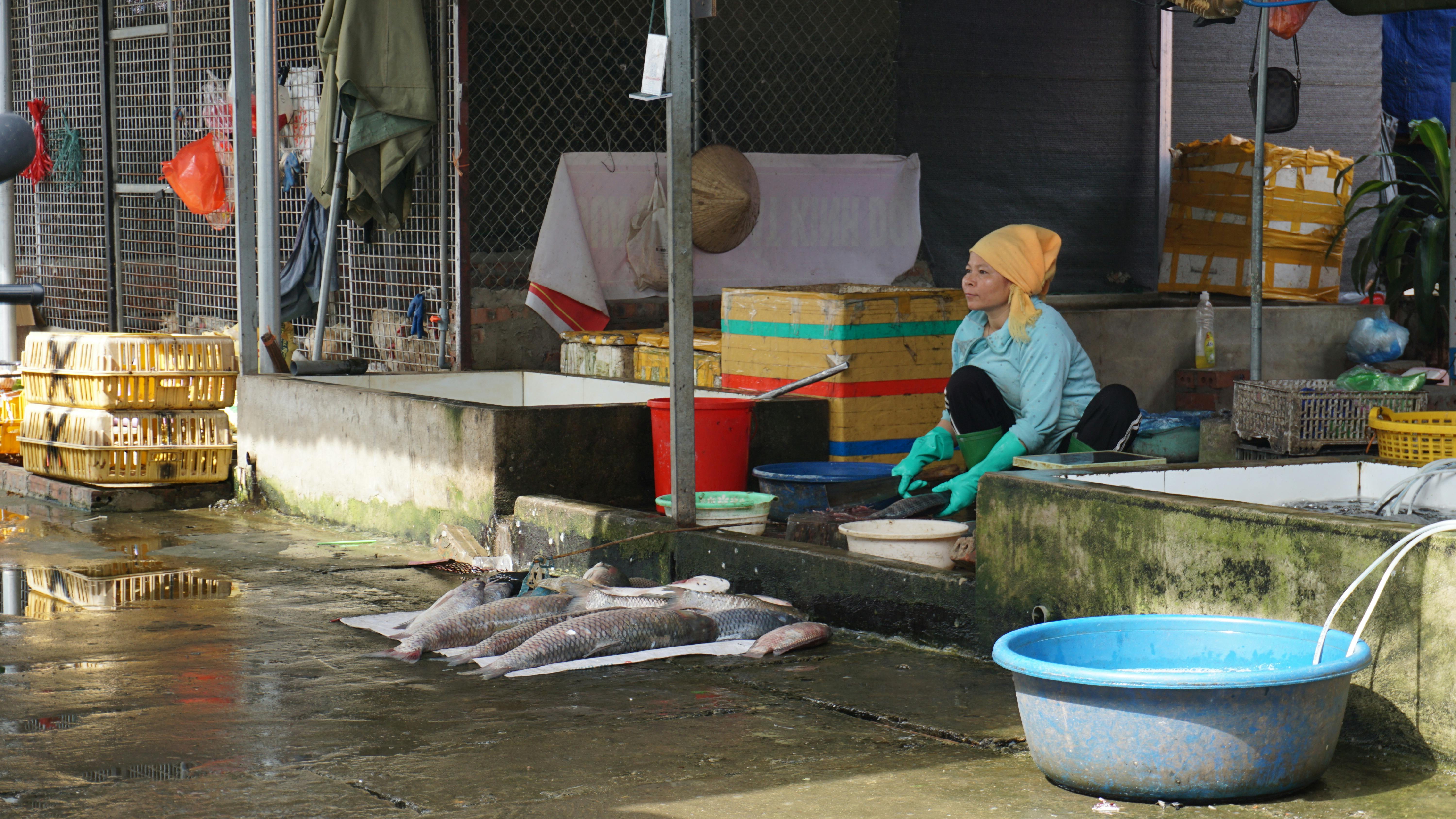 Woman at a rural fish market in Nghia Lo, capturing daily life in Vietnam.