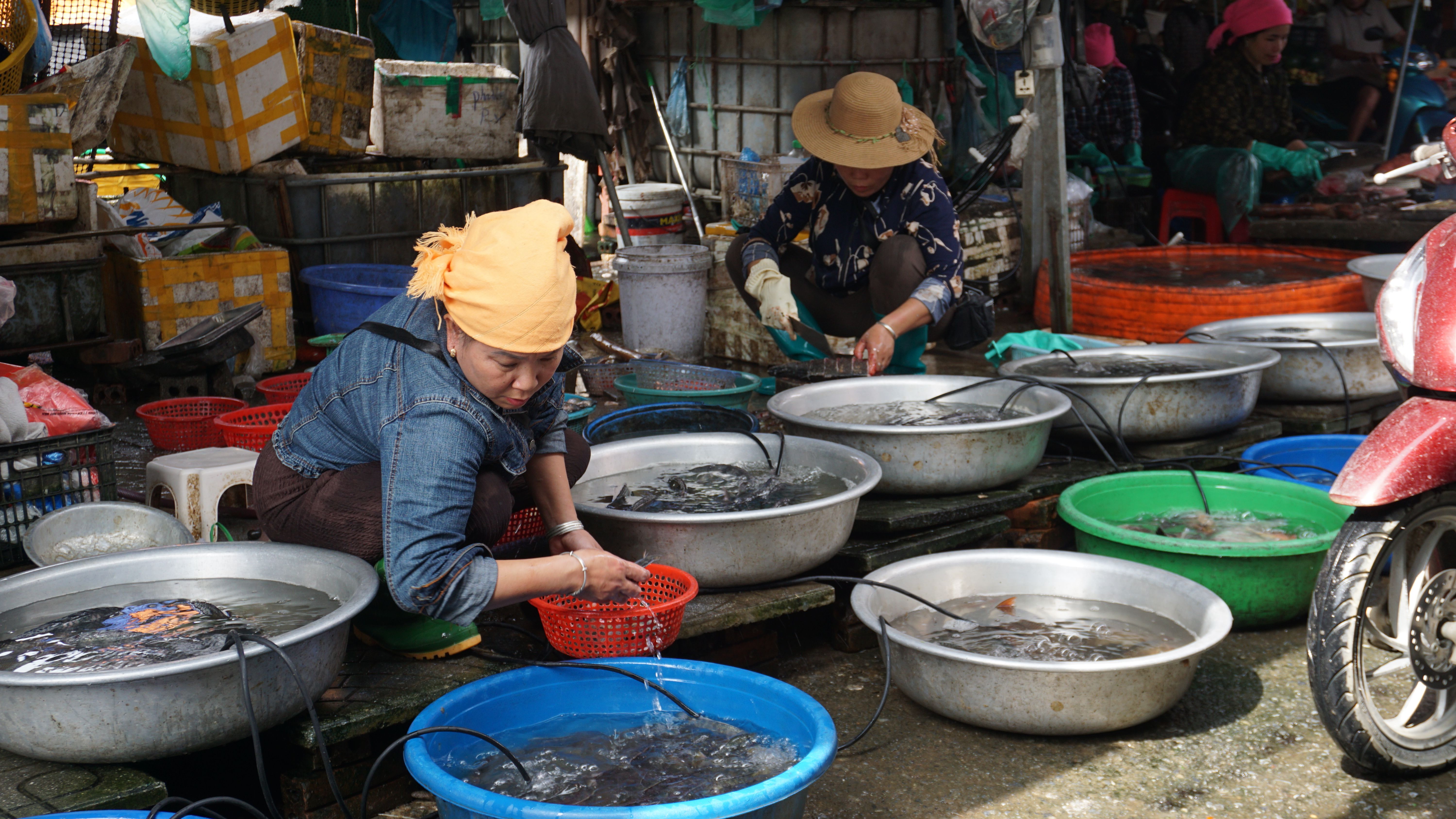 Women selling fresh fish at a vibrant market in Nghia Lo, Vietnam, capturing local culture.