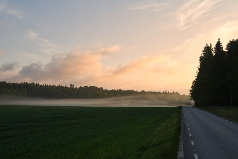 A quiet tree-lined road at sunrise with mist over open fields - a sense of calm patience