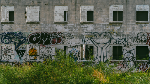 Free Vivid graffiti art on the wall of an abandoned building surrounded by overgrown grass. Stock Photo