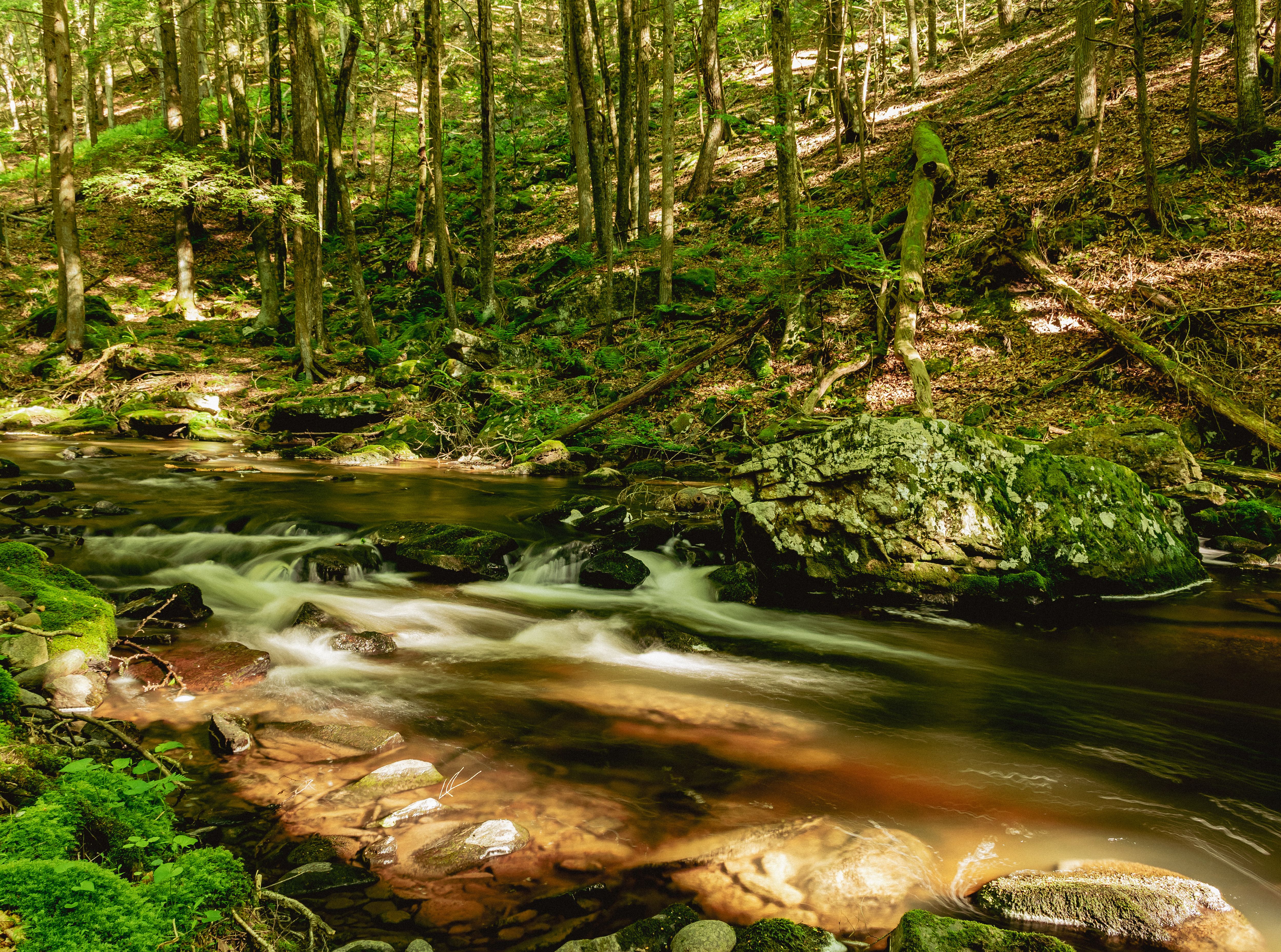 A tiered waterfall on the Falls Trail at Ricketts Glen