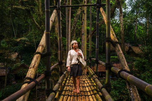 Free A person walks across a traditional bamboo bridge in a lush Indonesian jungle setting. Stock Photo
