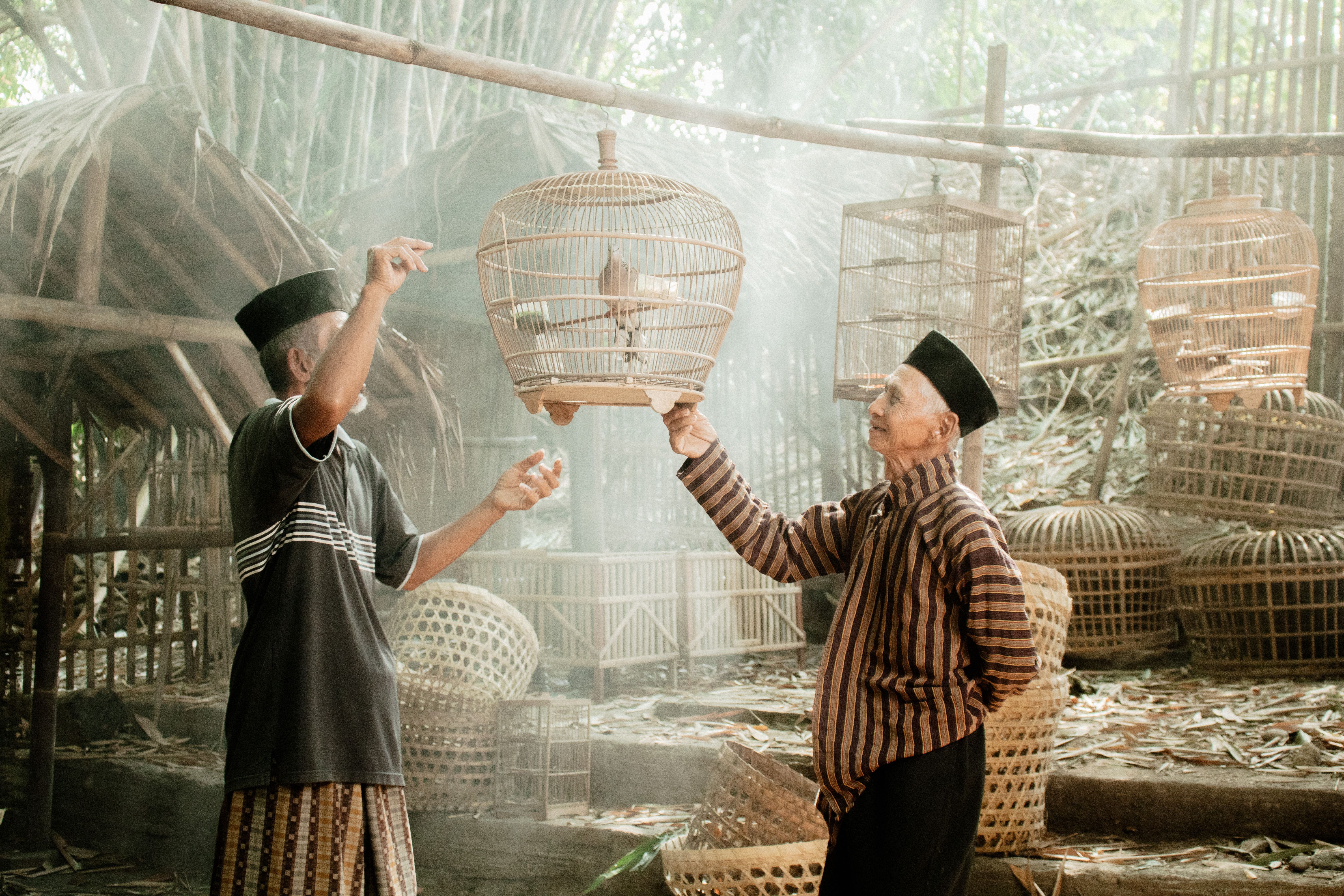 Two elderly men inspecting bird cages in a traditional rural setting with bamboo structures.