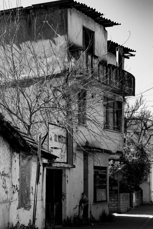 Free A vintage black and white photo of an abandoned building with bare trees. Stock Photo