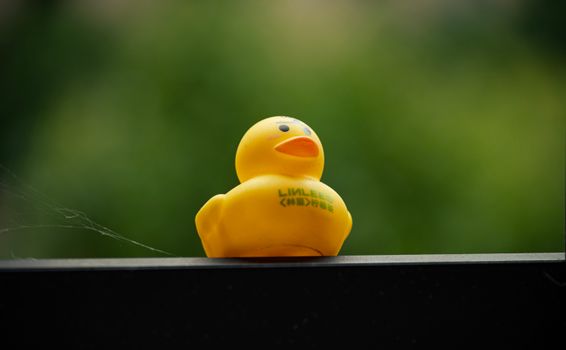 A yellow rubber duck sits on a balcony railing with a blurred green background, providing an outdoor playful vibe.