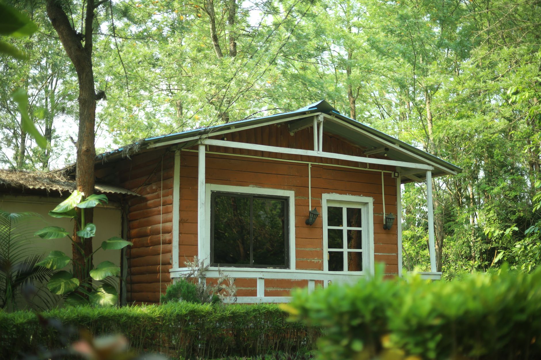 Where to Stay in Dandeli: Hotels and Accommodation Guide