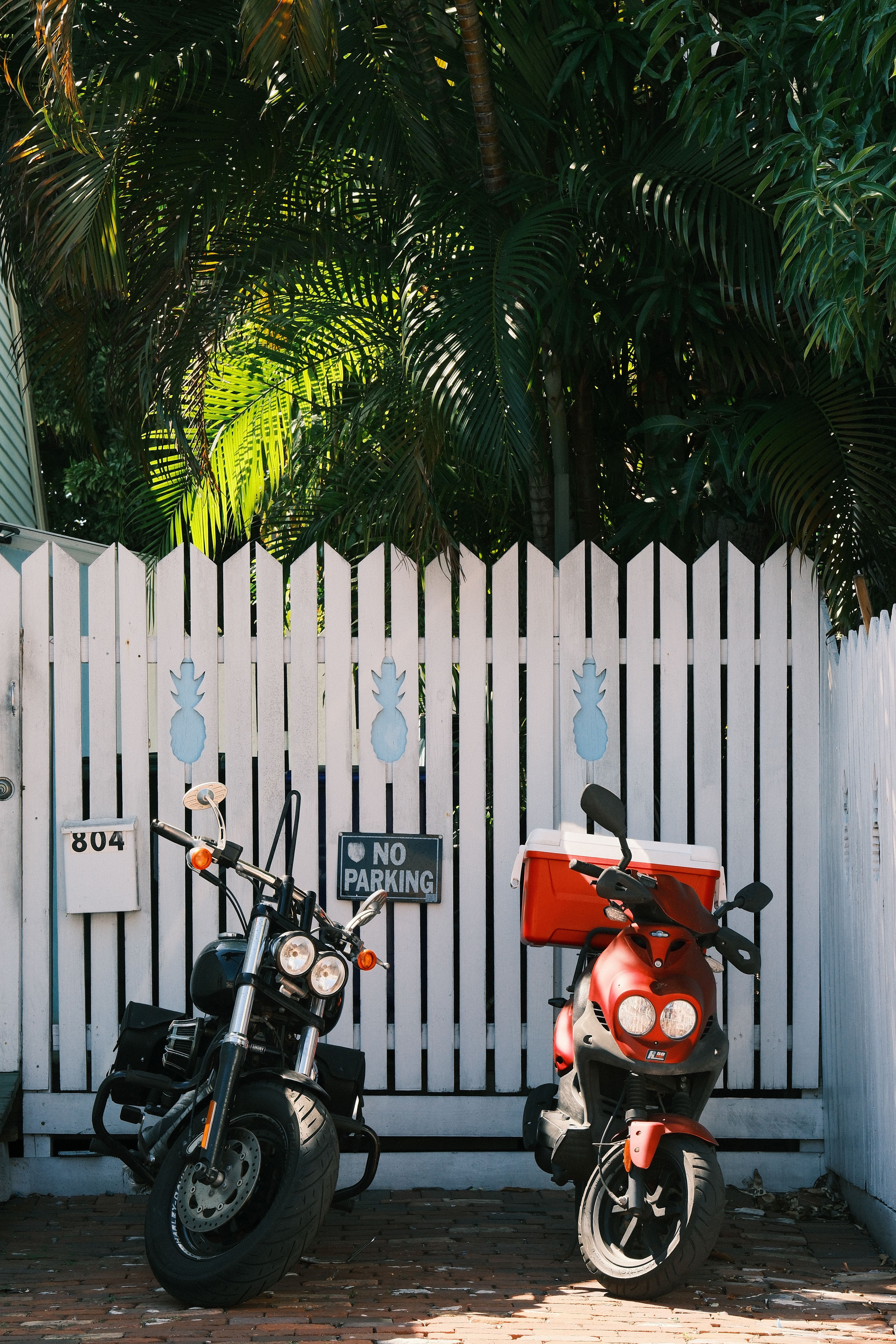 Two motorcycles parked in front of a white fence with tropical plants, suggesting a warm getaway.