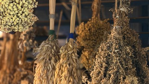 Aesthetic display of hanging dried herbs and grains creating a rustic and cozy atmosphere.