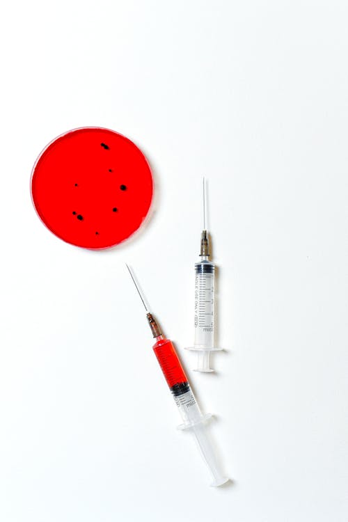 Free Syringes and Petri Dish on White Background Stock Photo