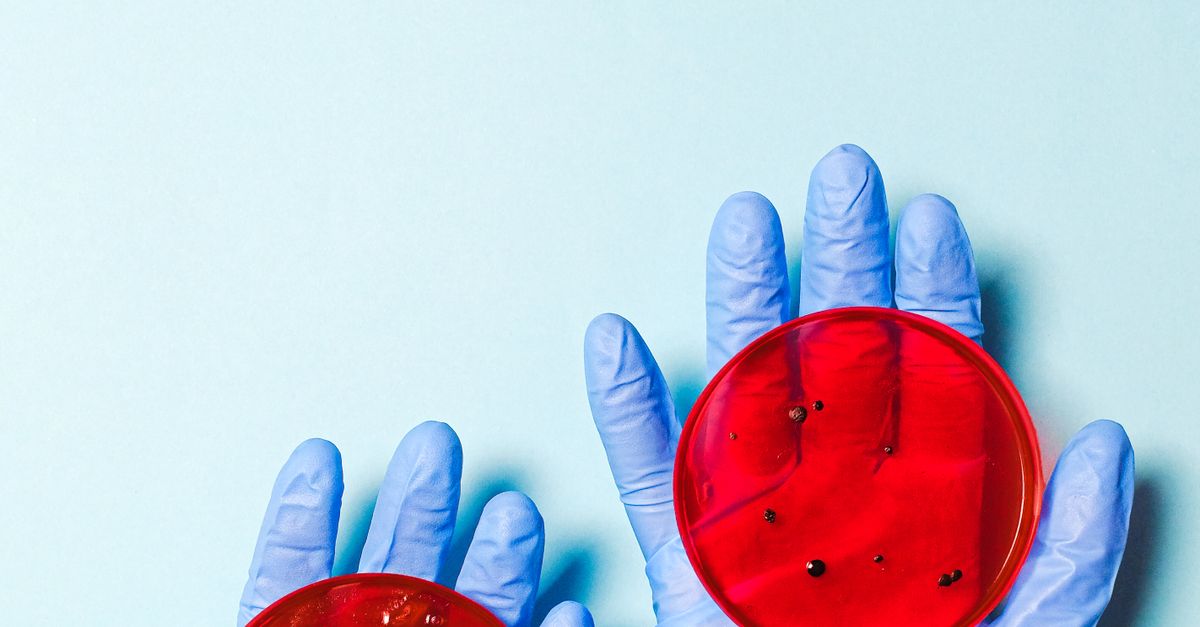 Scientist Holding Petri Dishes Free Stock Photo scientist-holding-petri-dishes-free-stock-photo