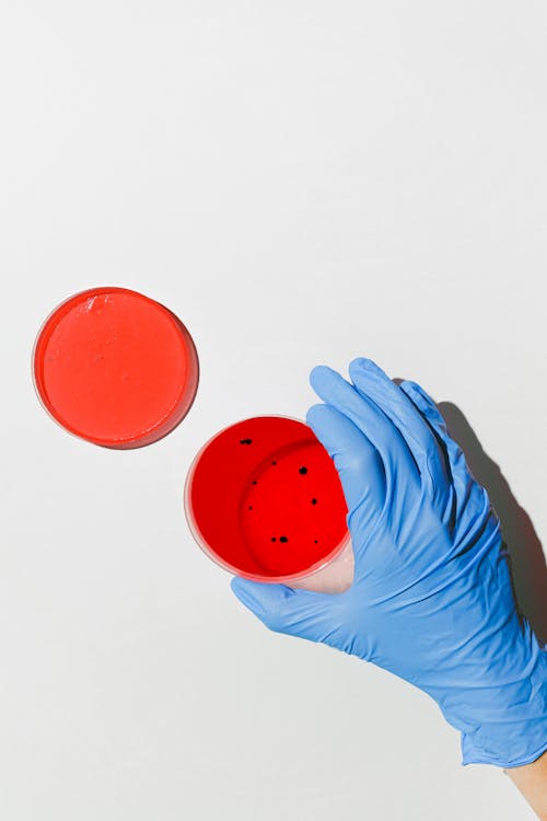 Petri Dishes on Table