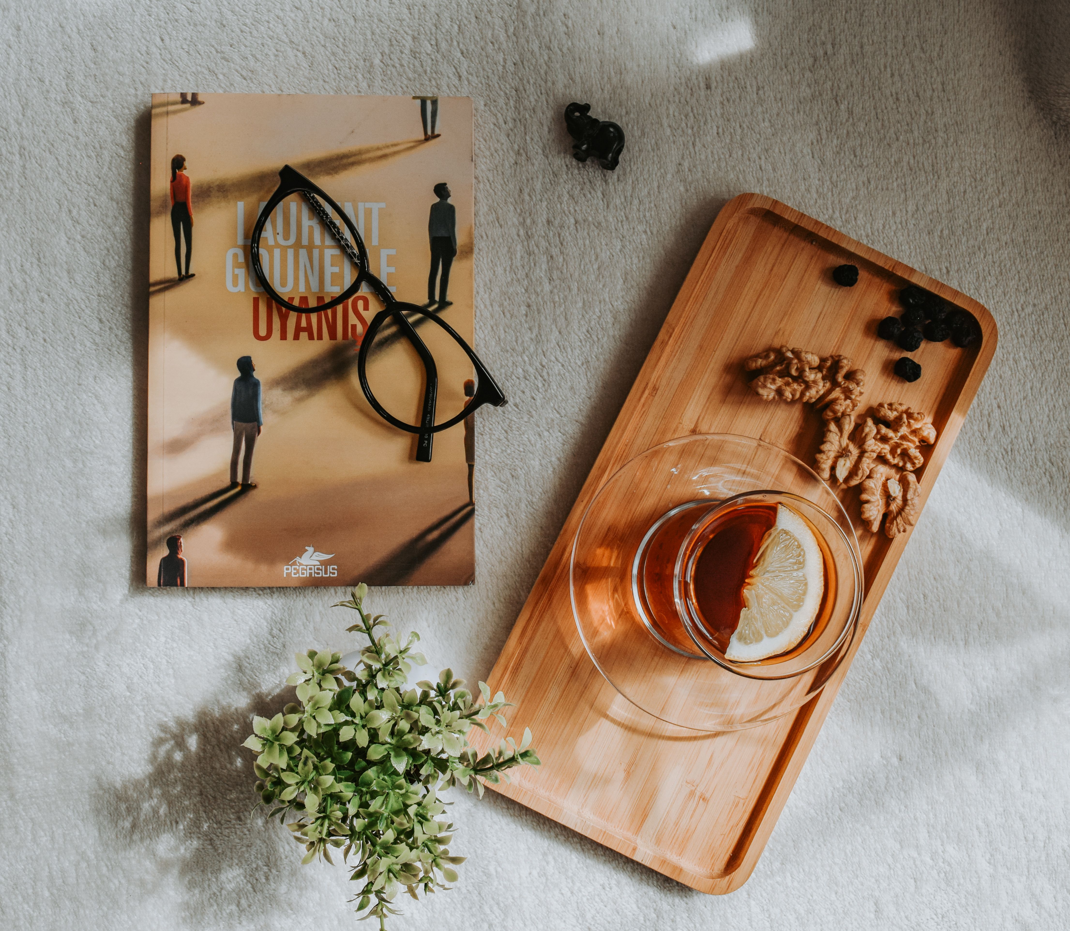 Aesthetic flat lay featuring a book, glasses, tea with lemon, and snacks on a wooden tray.