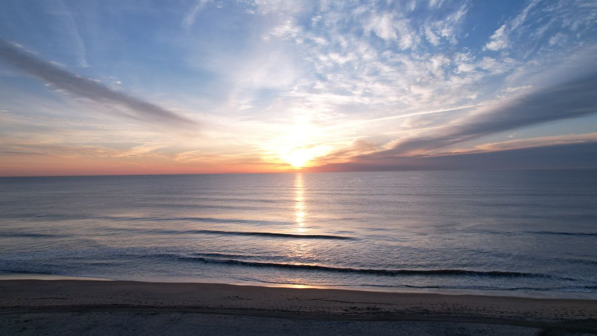 Top Virginia Beach, VA Pet Product Giveaways With No Purchase Necessary: Safe Entry Guide
