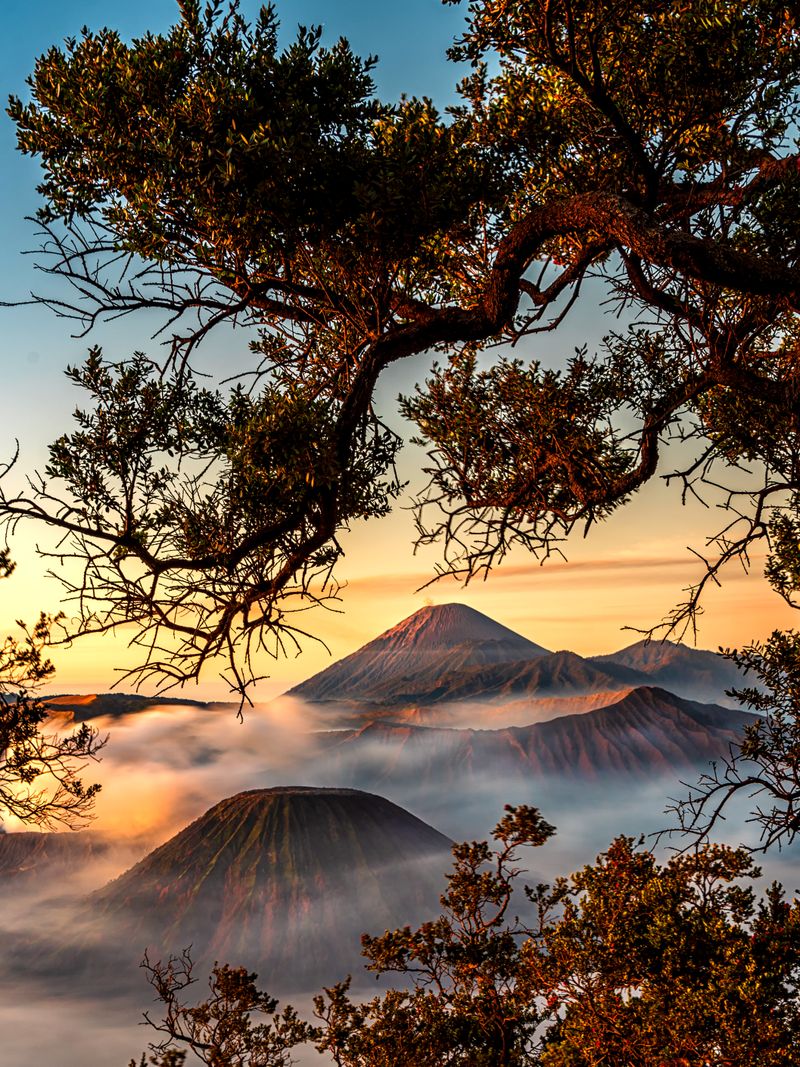Bromo Sunrise Adventure