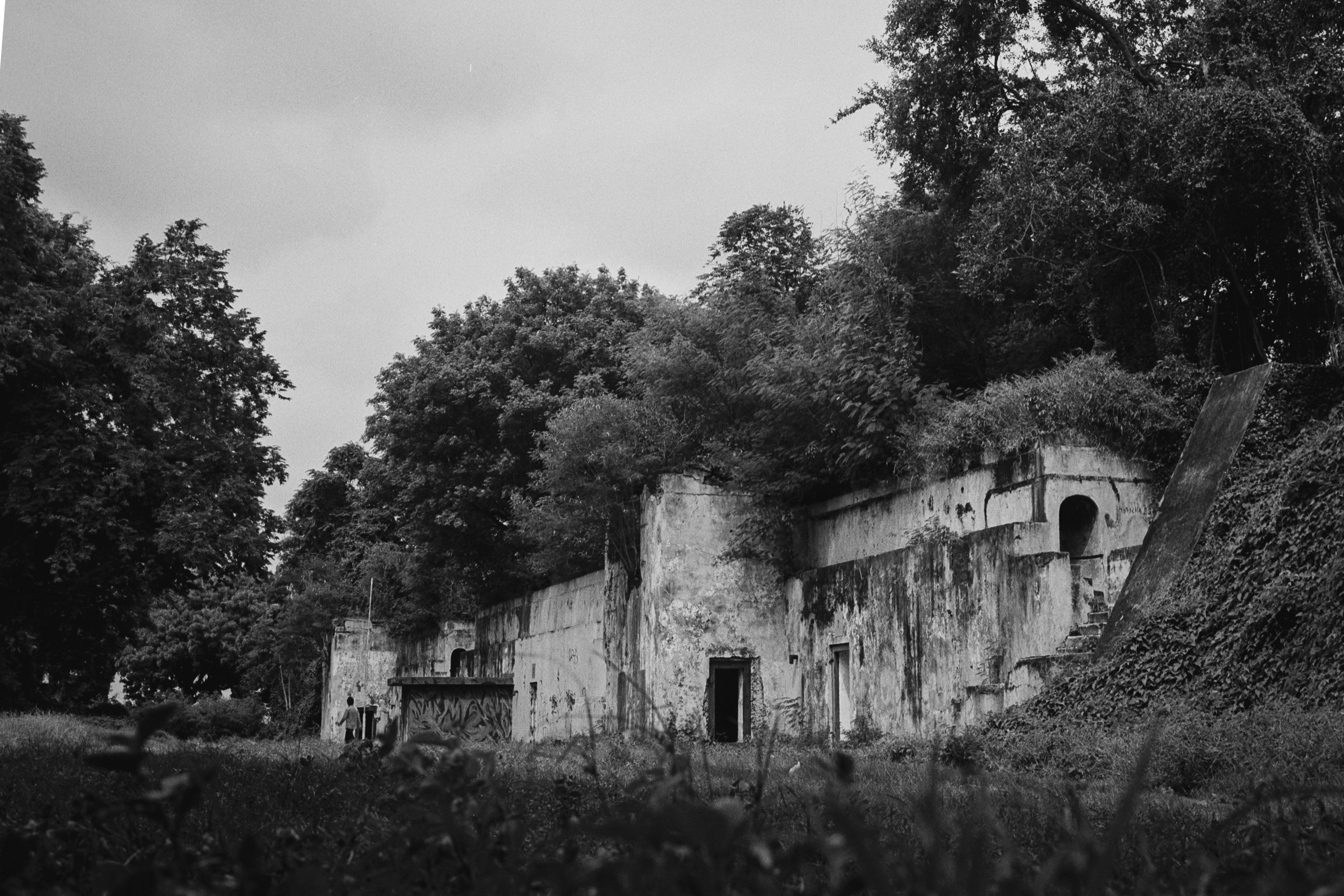 Le Secret des Ombres qui dansent dans le Manoir des Pas Perdus : Quand les Ténèbres Refusent de Livr