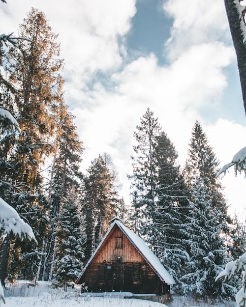 白い雲の下で雪に覆われた木の真ん中にある茶色の木造住宅