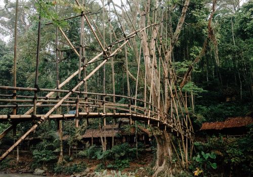 Free A tranquil bamboo bridge surrounded by dense green jungle and lush vegetation. Stock Photo