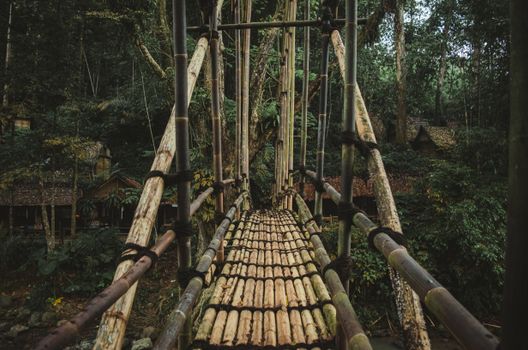 A rugged bamboo footbridge traverses dense jungle greenery showcasing rustic and authentic tropical scenery.