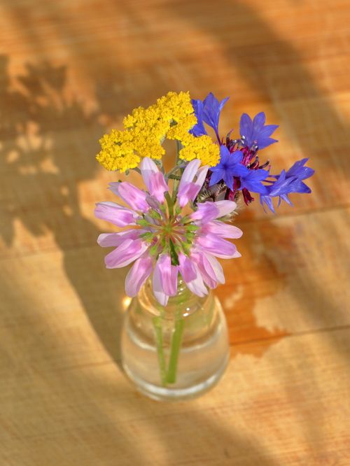 Free A vibrant arrangement of wildflowers in a small glass vase, casting beautiful shadows on a wooden surface. Stock Photo