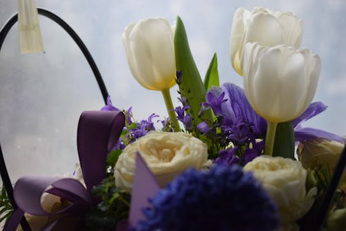Free White and Purple Flower Bouquet Stock Photo