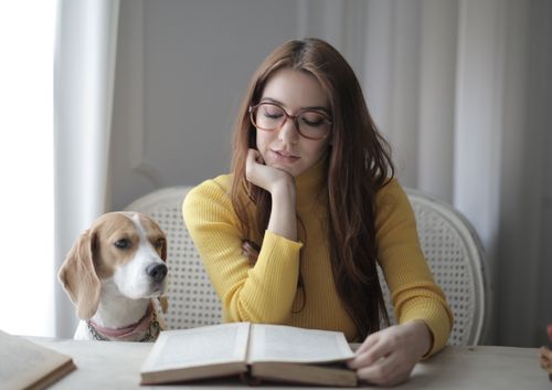 Free Young woman reading a book with her dog beside her indoors. Stock Photo
