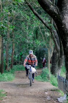 Elderly man biking along a lush forest trail, embracing nature and freedom. - Fotografer Sidoarjo
