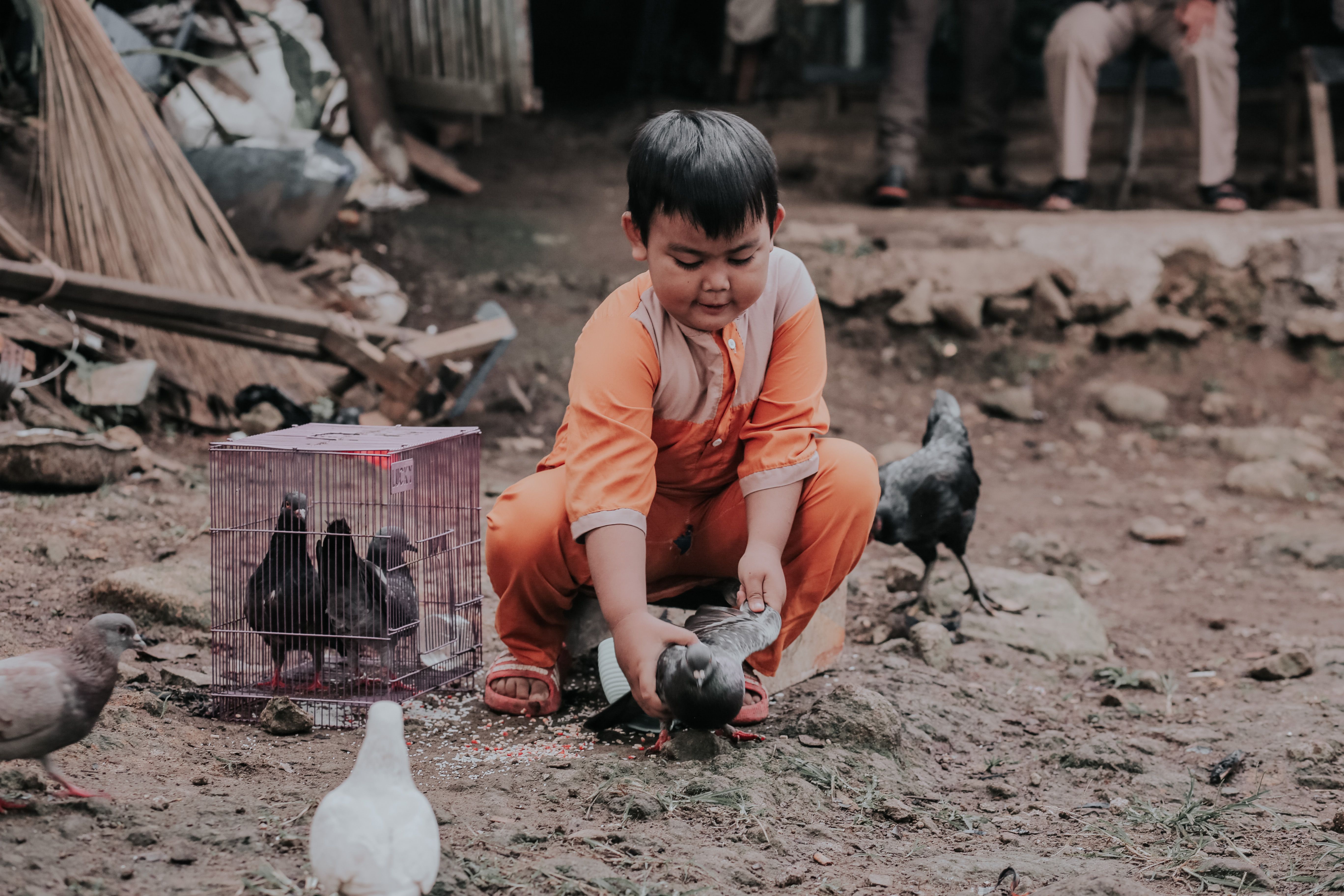 Child Feeding Pigeons in Indonesian Village