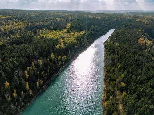 Free A breathtaking aerial shot of a tranquil river flowing through a dense European forest in spring. Stock Photo