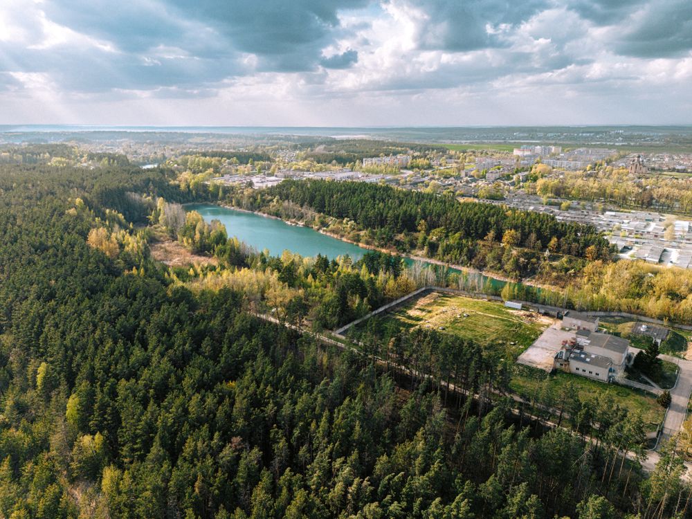Aerial view of lush green forest and lake · Free Stock Photo
