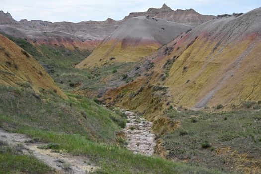 Wildlife Loop Road near Black Hills
