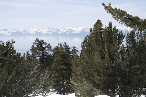 Free stock photo of lake tahoe