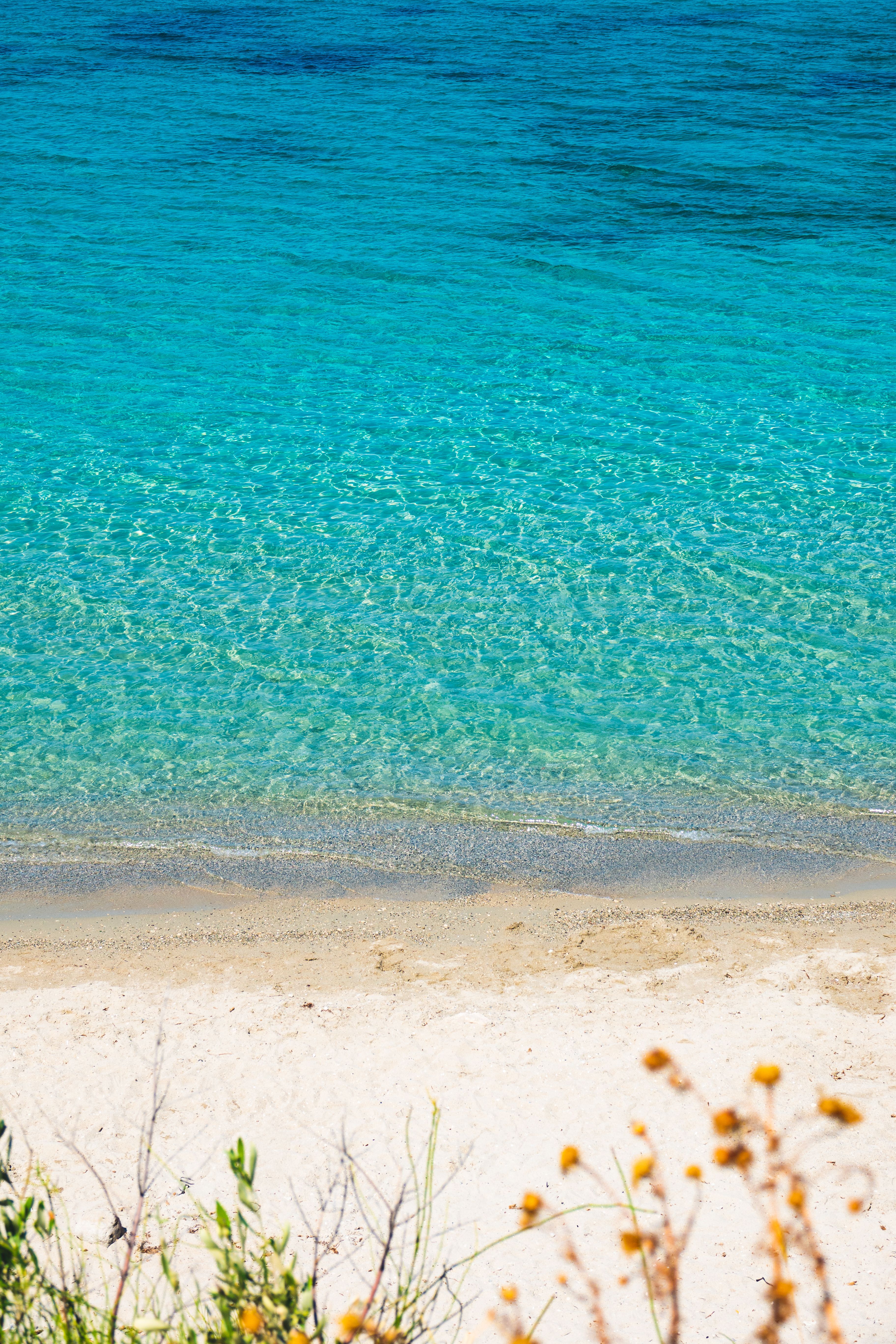 Turquoise shallows meeting golden sand — photo by Emre Ayata on Pexels