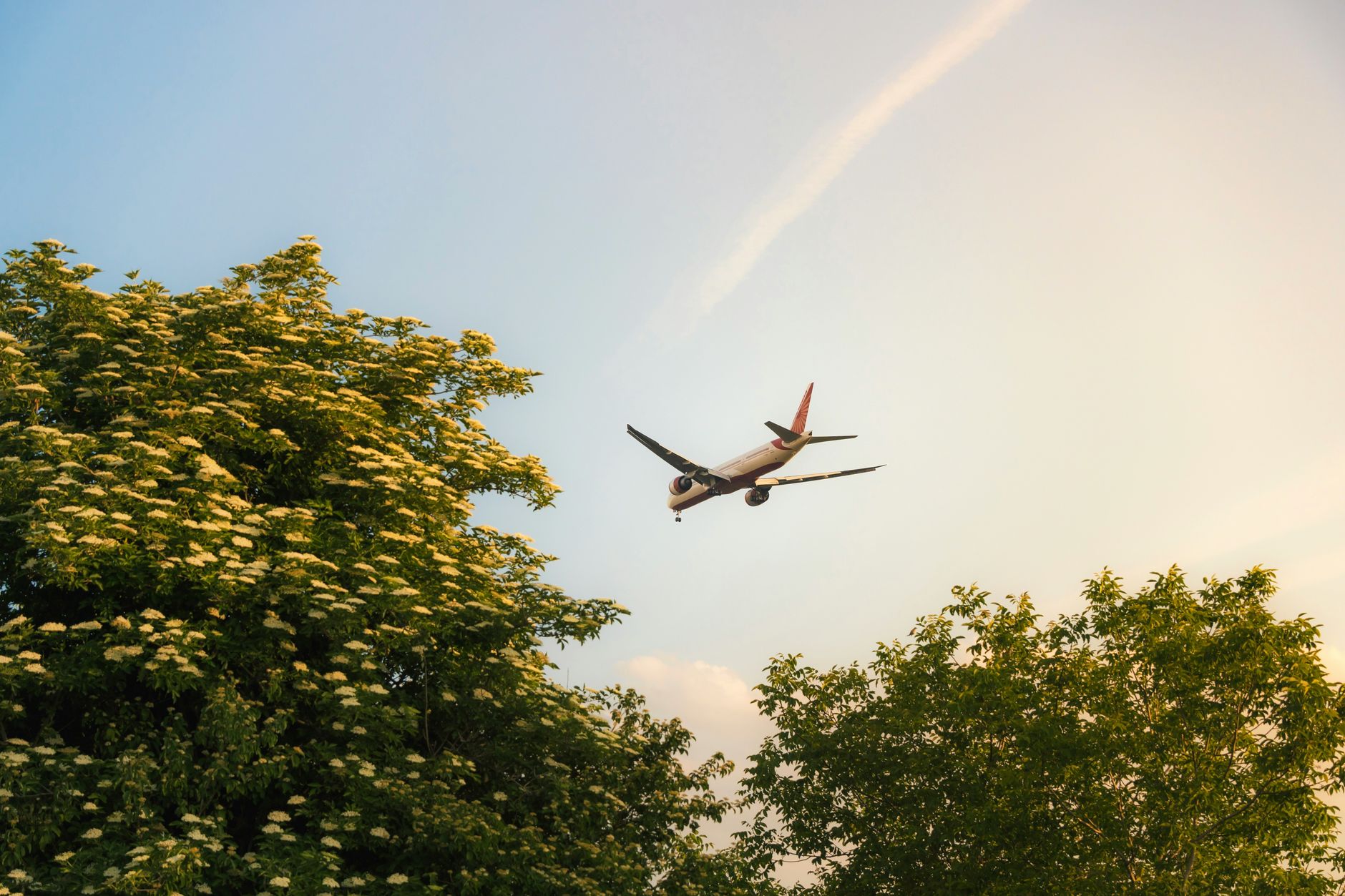 Airport transfers in Schwechat Airport transfers in Schwechat