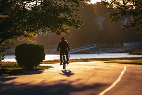 Free Silhouette of a cyclist riding along a sunlit path beside a river, framed by trees. Stock Photo