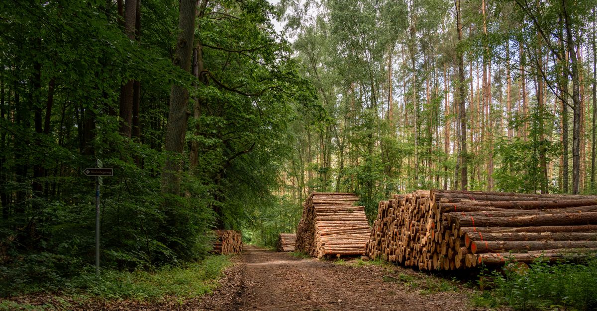 Why 'Sustainability' Feels Overwhelming (And The Strategic Path That Actually Works)