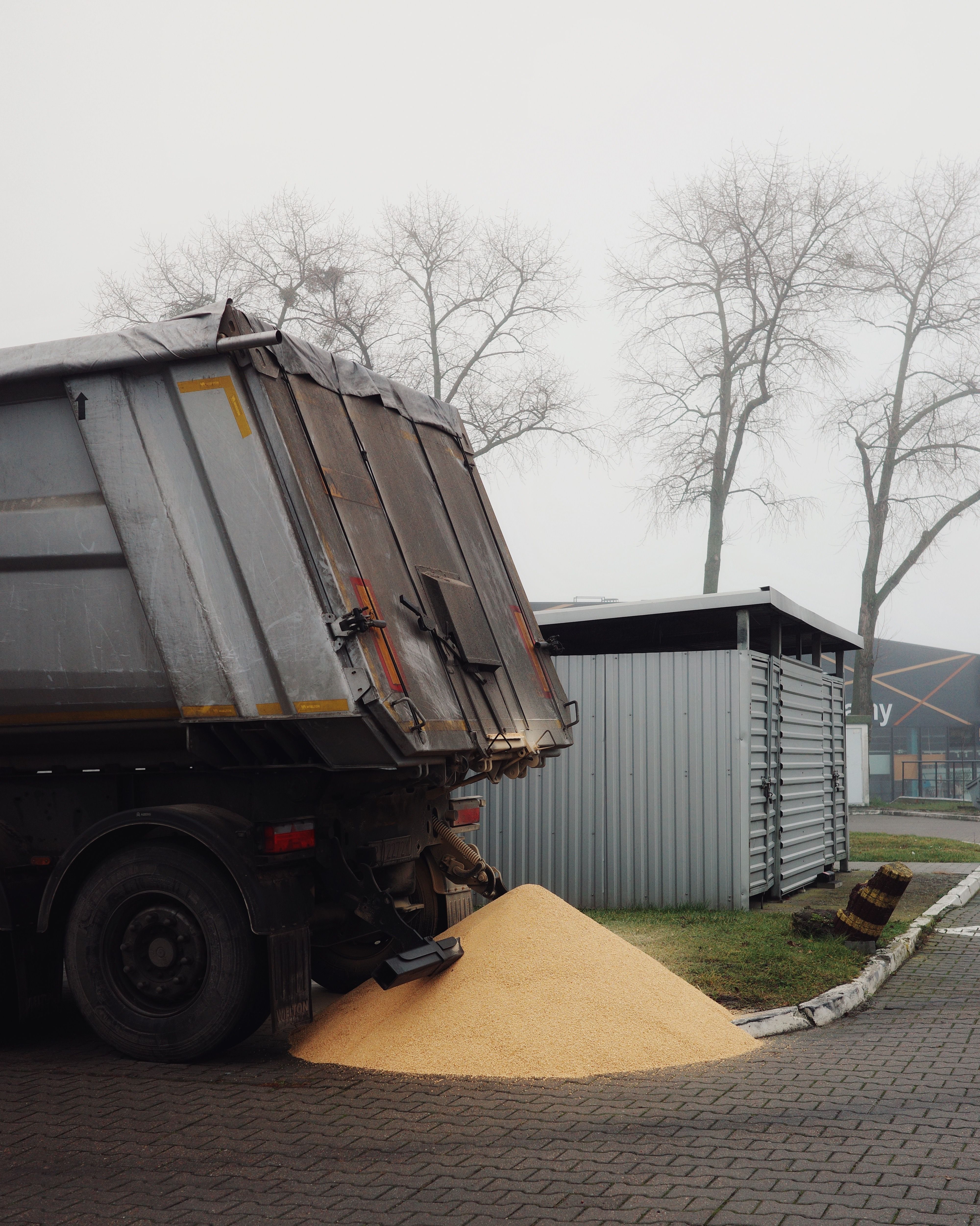 A grain truck unloading cargo in a foggy city street scene in Inowrocław, Poland.