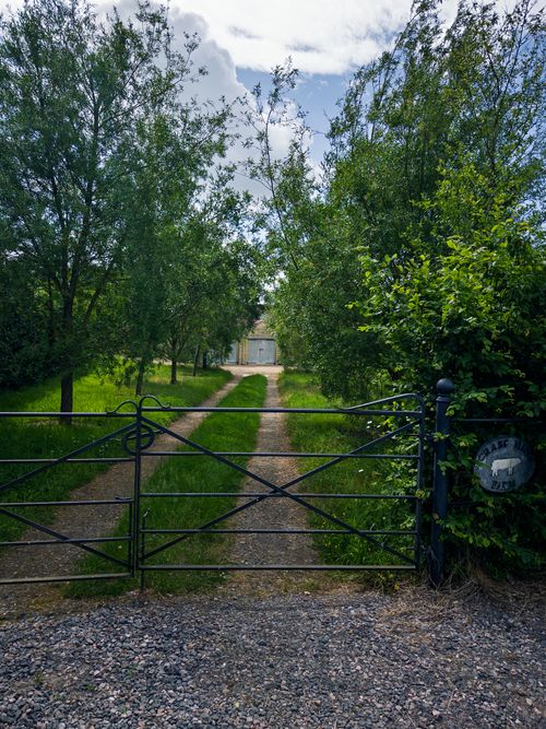 Charming Country Driveway with Lush Greenery · Free Stock Photo