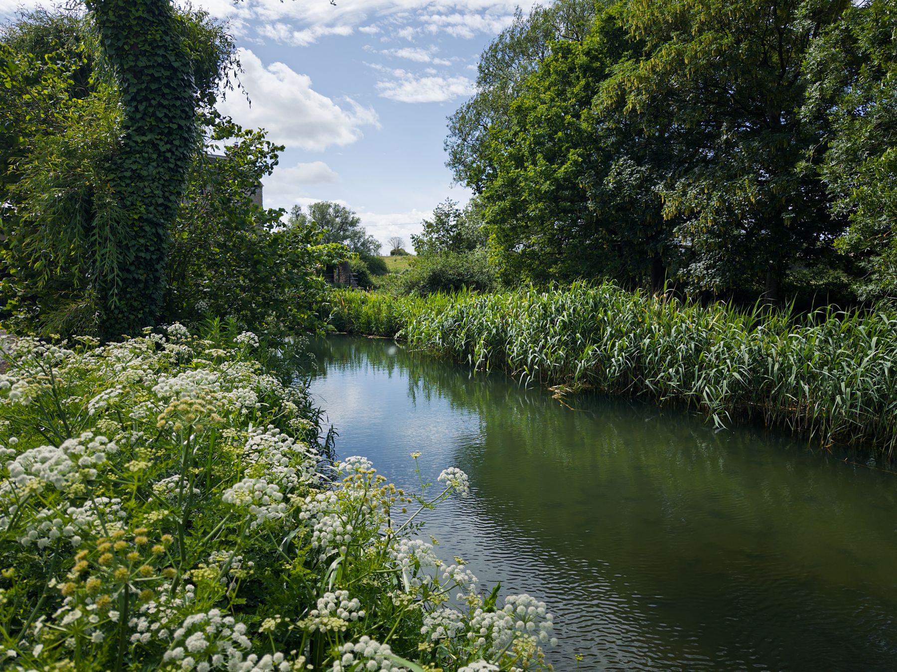 A river bordered by green vegetation and wildflowers