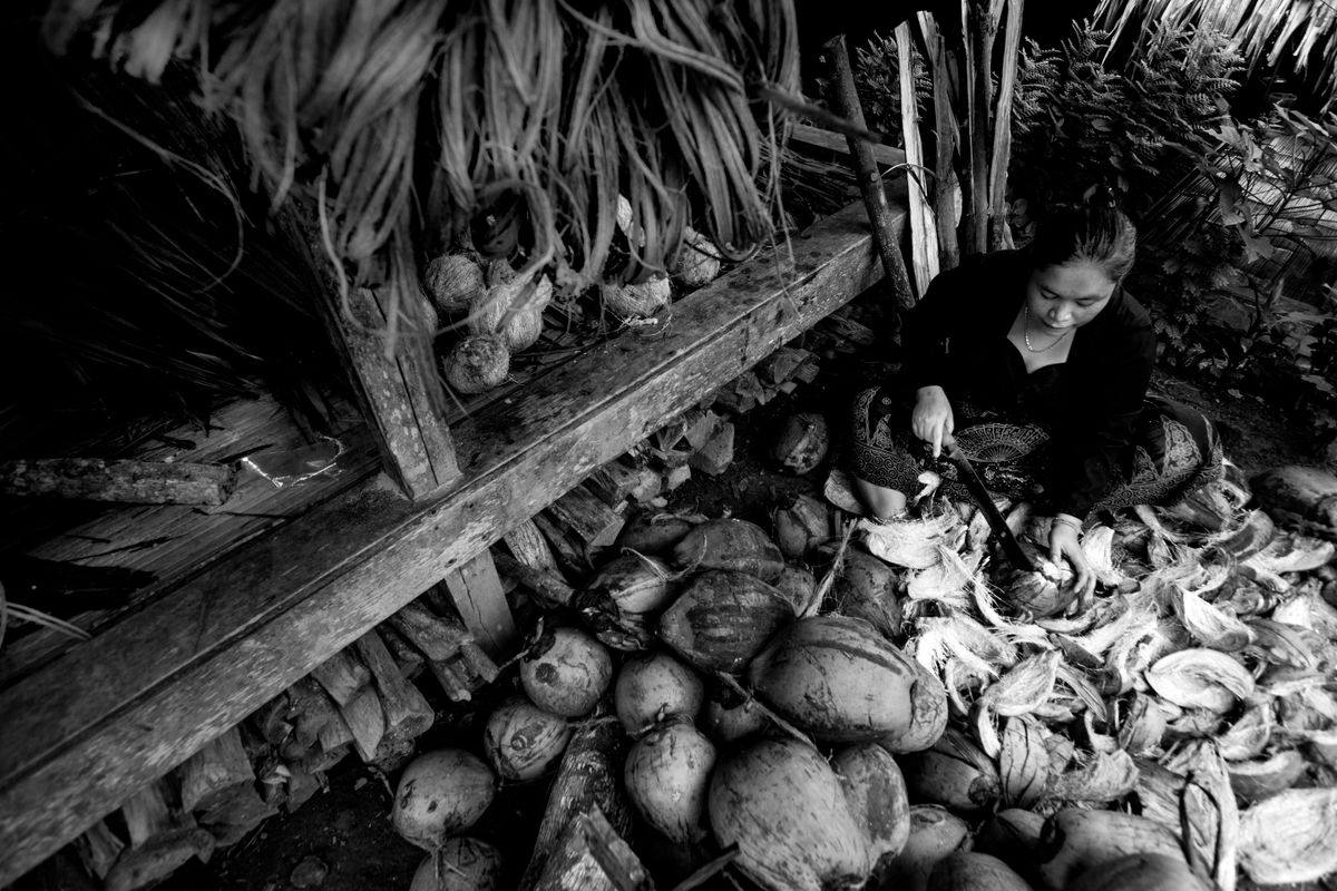 Pekerja memproses kelapa secara berkumpulan untuk bekalan industri