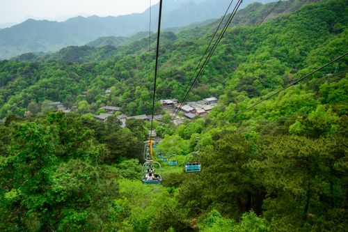 Free A scenic cable car ride offers breathtaking views of lush green mountains and dense forests. Stock Photo