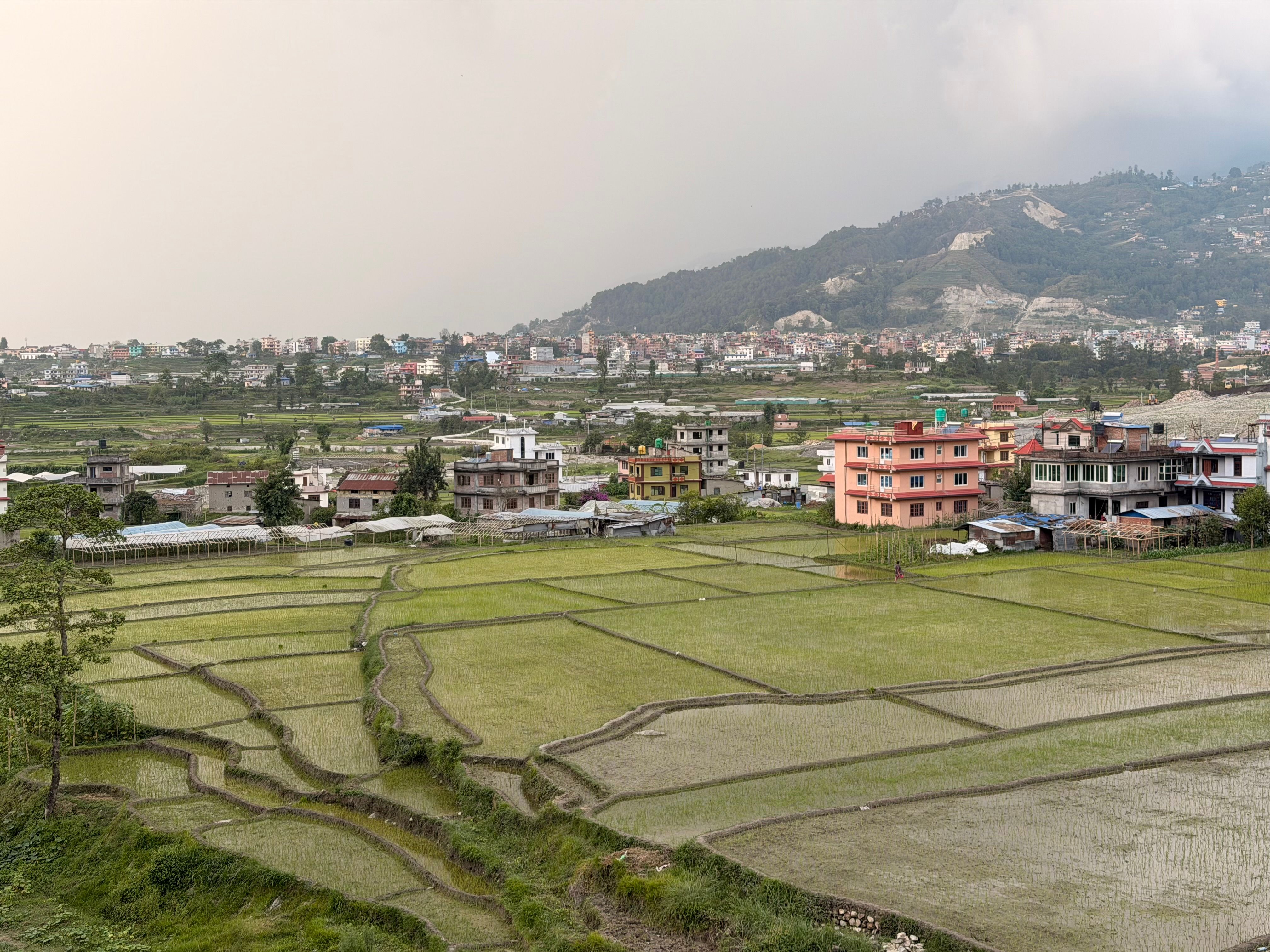 climate resilience — Photo by Pawan Bhandari on Pexels