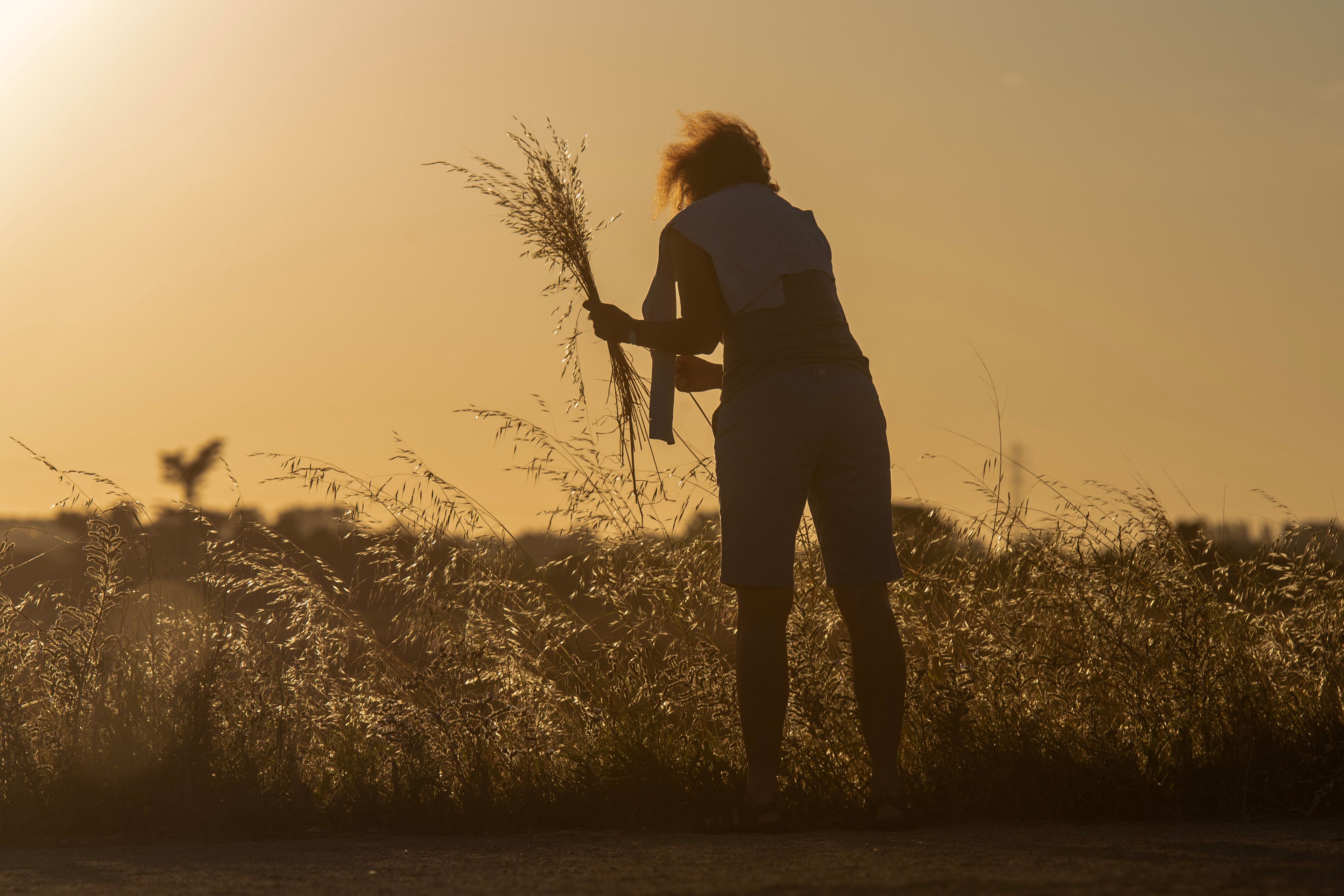 Calor na Europa não é pontual e especialistas fazem alerta para o futuro