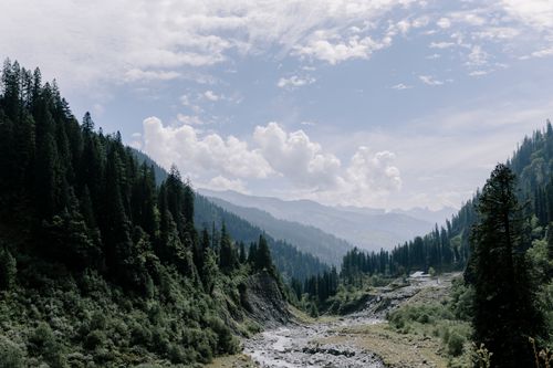Free Stunning view of a mountain valley with lush pine forests under a partly cloudy sky. Stock Photo